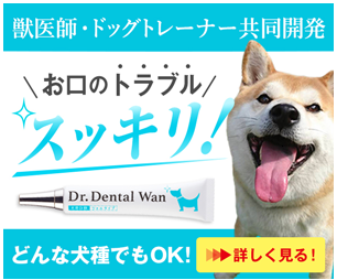 �h�N�^�[�f���^������ �̔��X